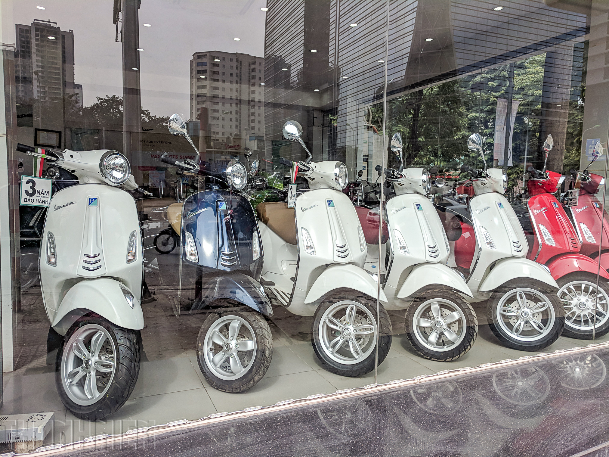 Xe Vespa của hãng nào? Có nên mua xe Vespa không?